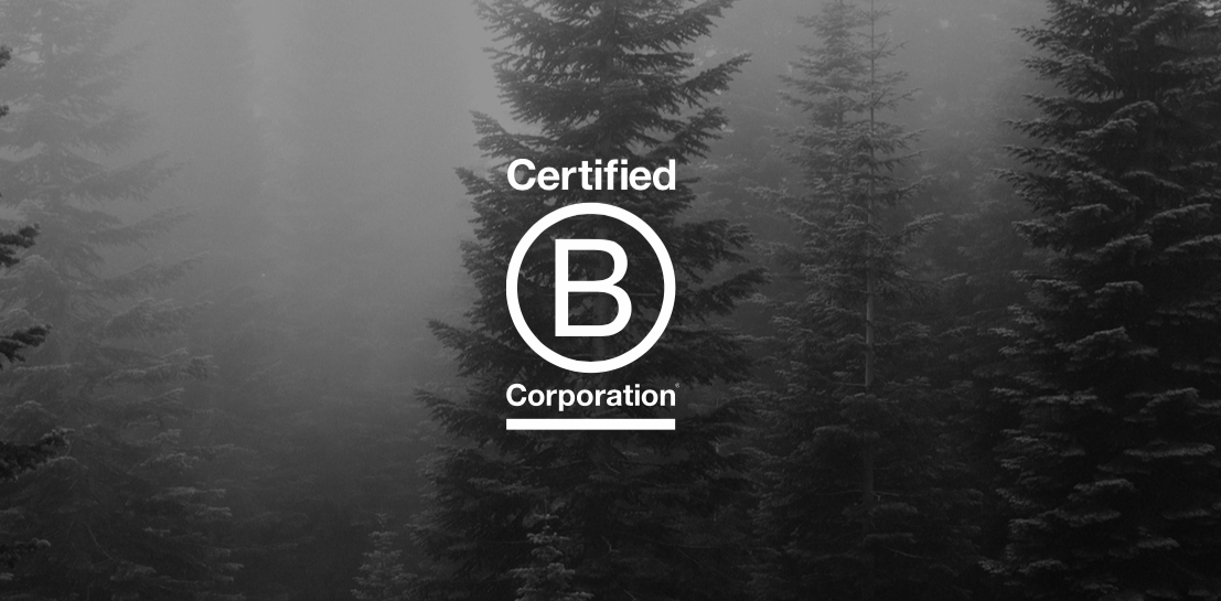 Becoming a Certified B Corp. Again.