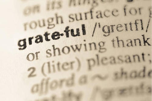 being-grateful-its-november-duh